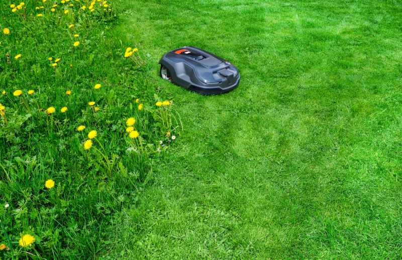 Робот против садовника: что выгоднее при уходе за участком 15 соток